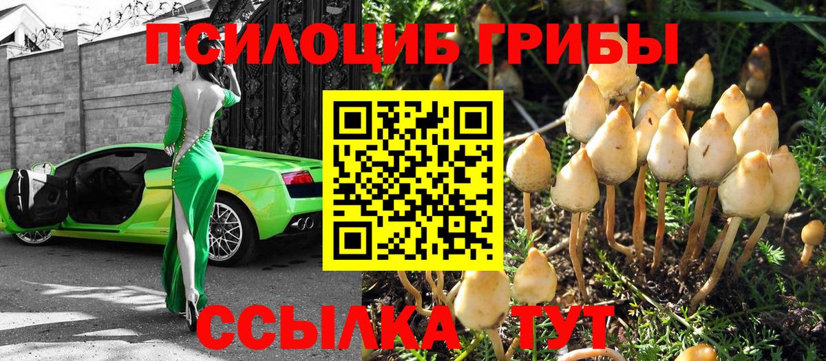 Псилоцибиновые грибы Magic Shrooms Можайск